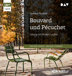 Bouvard und Pécuchet, 1 Audio-CD, 1 MP3