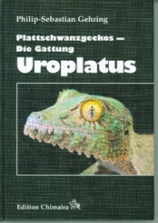 Plattschwanzgeckos