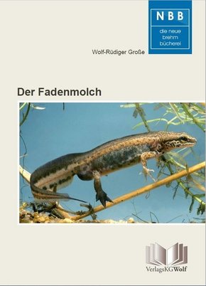 Der Fadenmolch