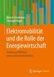 Elektromobilität und die Rolle der Energiewirtschaft