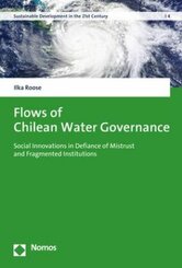 Flows of Chilean Water Governance