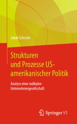 Strukturen und Prozesse US-amerikanischer Politik