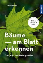 Bäume - am Blatt erkennen