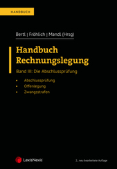 Handbuch Rechnungslegung: Handbuch Rechnungslegung, Band III: Die Abschlussprüfung