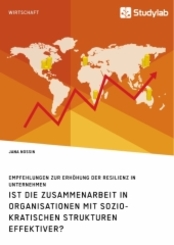 Ist die Zusammenarbeit in Organisationen mit soziokratischen Strukturen effektiver? Empfehlungen zur Erhöhung der Resili