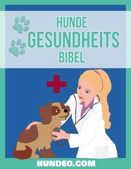 Hunde Gesundheits Bibel