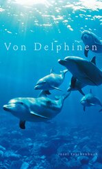 Von Delphinen