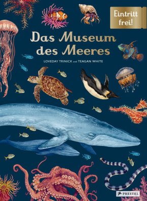 Das Museum des Meeres