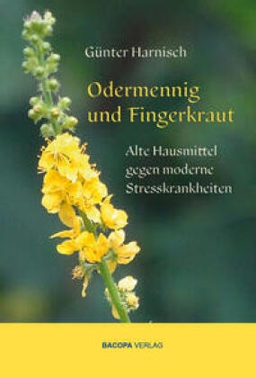 Odermennig und Fingerkraut.