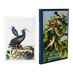 Vorzugsausgabe: Johann Friedrich Naumann - Die Vögel Mitteleuropas, m. 1 Beilage, 2 Teile