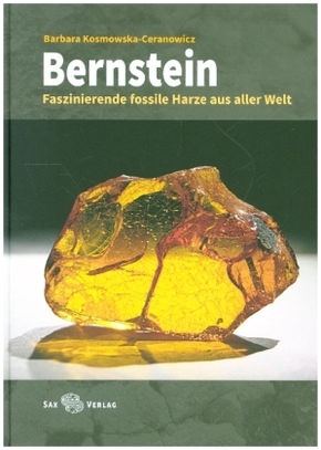 Bernstein