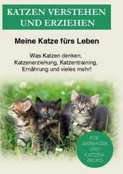 Katzen verstehen und erziehen