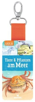 Expedition Natur - Tiere & Pflanzen am Meer