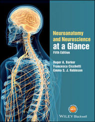 Neuroanatomy and Neuroscience at a Glance