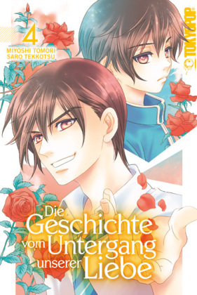 Die Geschichte vom Untergang unserer Liebe. Bd.4 - Bd.4