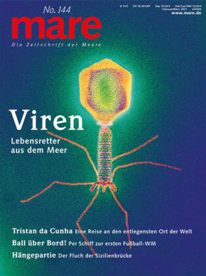 Viren - Lebensretter aus dem Meer