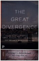 The Great Divergence - China, Europe, and the Making of the Modern World Economy