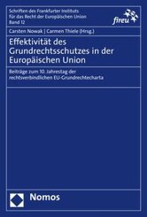 Effektivität des Grundrechtsschutzes in der Europäischen Union