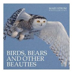 Birds, Bears and other Beauties