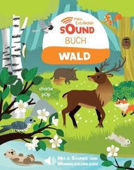 Mein Entdecker-Soundbuch: Wald - Mit 5 Sounds und Wimmelsuchbildern