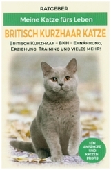 Britisch Kurzhaar Katze