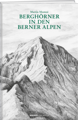 Berghörner in den Berner Alpen