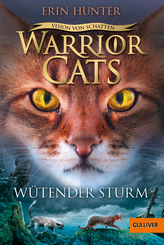 Warrior Cats - Staffel VI, Band 6 - Vision von Schatten. Wütender Sturm