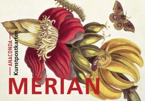 Postkarten-Set Maria Sibylla Merian