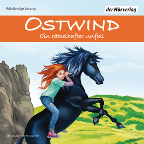 Ostwind - Ein rätselhafter Unfall, 3 Audio-CD