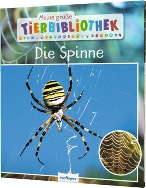 Meine große Tierbibliothek: Die Spinne