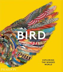 Bird: Exploring the Winged World