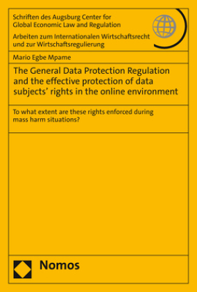 The General Data Protection Regulation and the effective protection of data subjects' rights in the online environment
