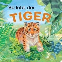 Tierkindergeschichten - So lebt der Tiger - Pappbilderbuch mit farbigen Illustrationen für Kinder ab 18 Monaten
