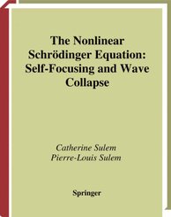 The Nonlinear Schrödinger Equation