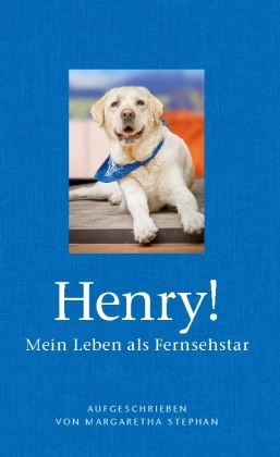 Henry! Mein Leben als Fernsehstar