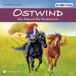 Ostwind - Ein Freund für Feuersturm, 3 Audio-CD