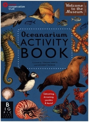 Oceanarium Activity