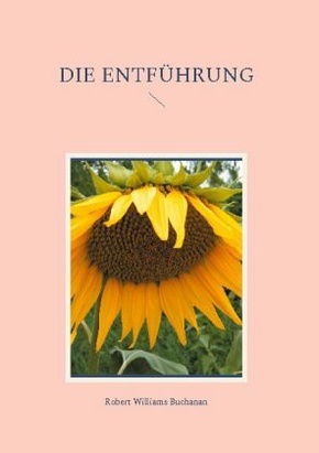 Die Entführung