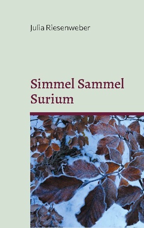 Simmel Sammel Surium