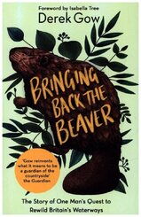 Bringing Back The Beaver