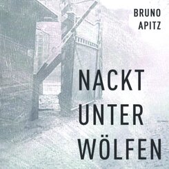 Nackt unter Wölfen, Audio-CD, MP3