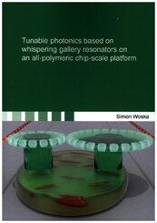 Tunable photonics based on whispering gallery resonators on an all-polymeric chip-scale platform