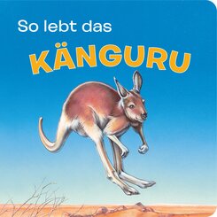 Tierkindergeschichten - So lebt das Känguru - Pappbilderbuch mit farbigen Illustrationen für Kinder ab 18 Monaten