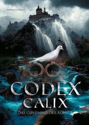 Codex Calix - Das Geheimnis der K&ouml;nige