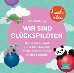 FamilyFlow. Wir sind Glückspiloten, 1 Audio-CD