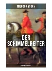 Der Schimmelreiter (Storms Meisternovelle)