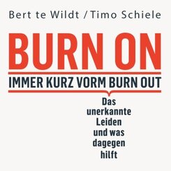 Burn On: Immer kurz vorm Burn Out, Audio-CD, MP3