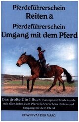 Pferdeführerschein Umgang mit dem Pferd & Reiten