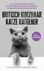 Britisch Kurzhaar Katze Ratgeber