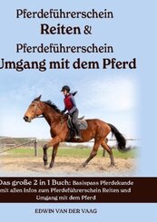 Pferdeführerschein Reiten & Pferdeführerschein Umgang mit dem Pferd